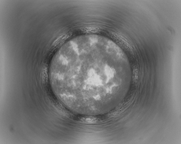 X0000115440506200912020948