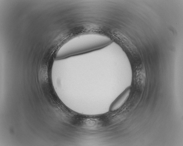 X0000115440508200912020948