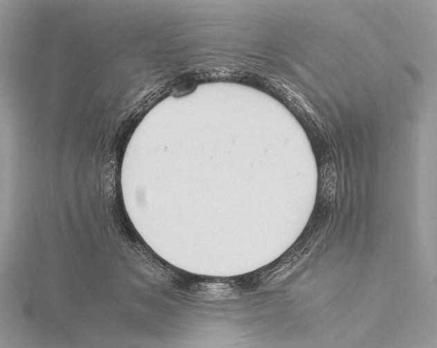 X0000115440509200912020948