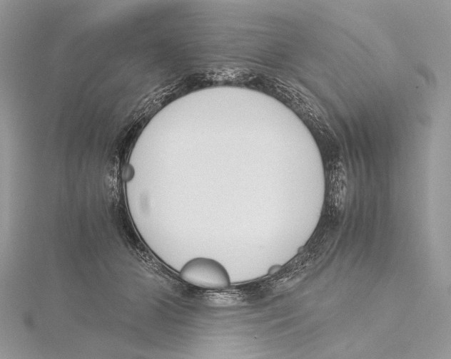 X0000115440510200912020948