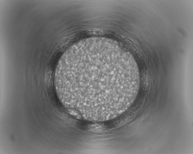 X0000115440511200912020948