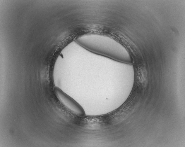 X0000115440512200912020948