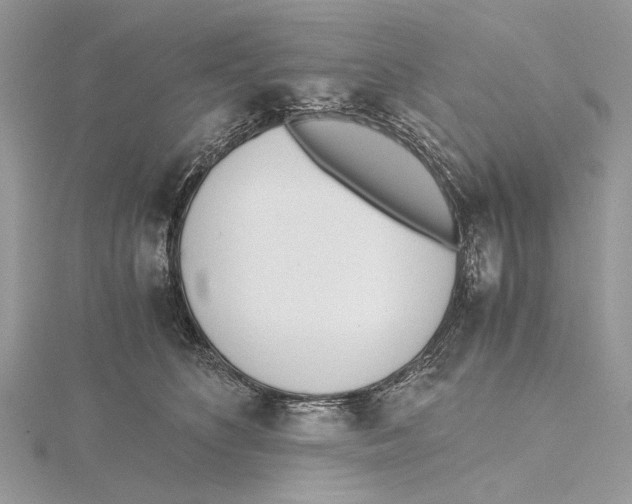 X0000115440516200912020948