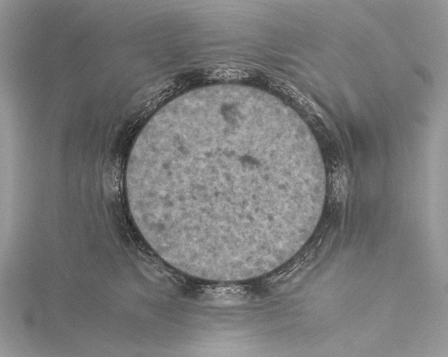 X0000115440517200912020948