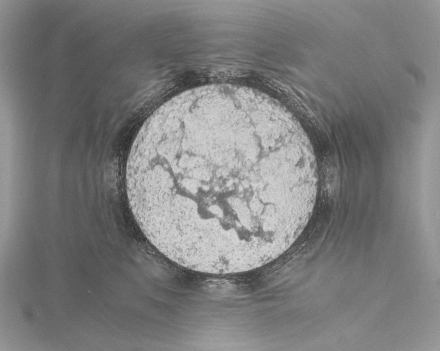 X0000115440519200912020947