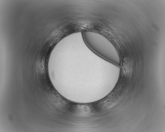 X0000115440520200912020947