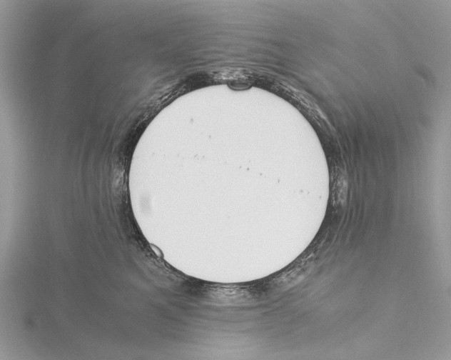 X0000115440521200912020947