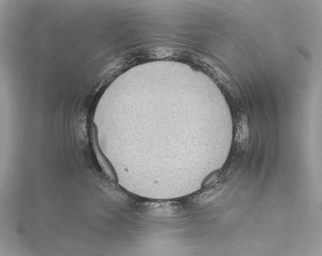 X0000115440524200912020947