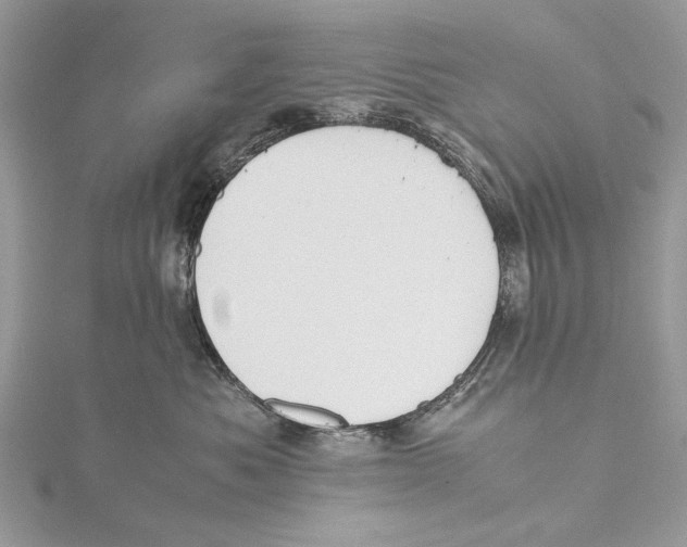 X0000115440525200912020947