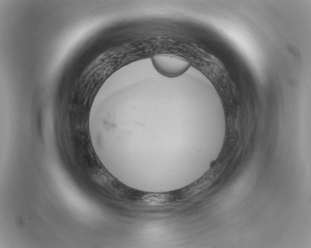 X0000115440526200912020947