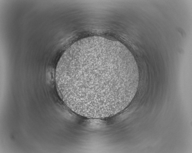 X0000115440528200912020947