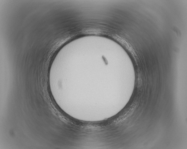 X0000115440529200912020947