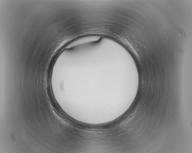 X0000115440530200912020947