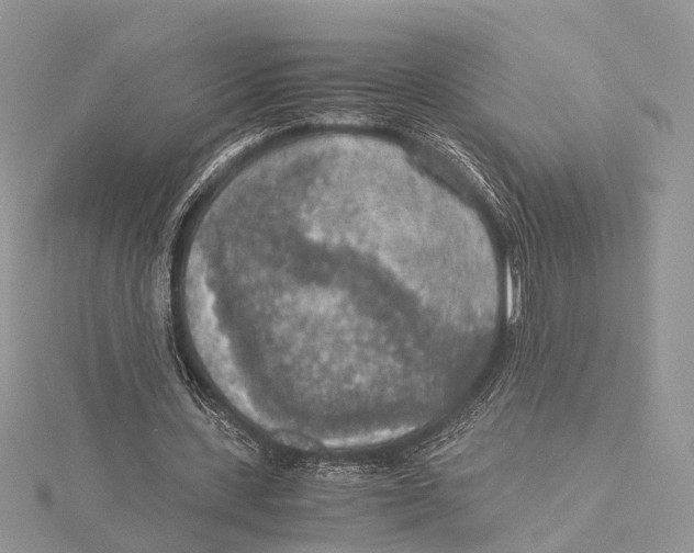 X0000115440531200912020947