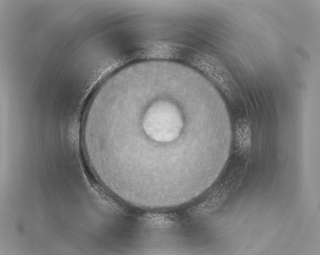 X0000115440534200912020947