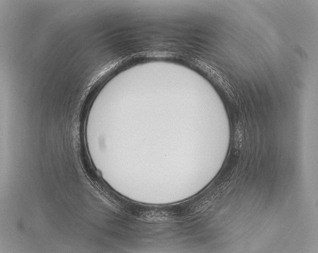 X0000115440535200912020947