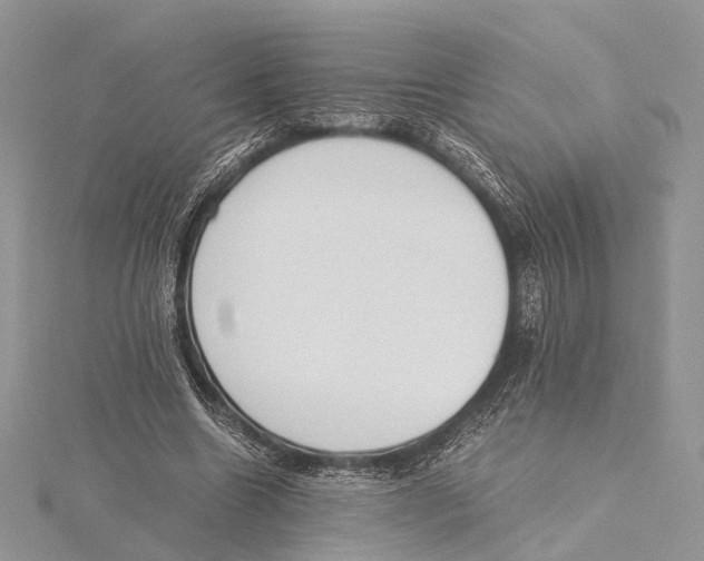 X0000115440538200912020947