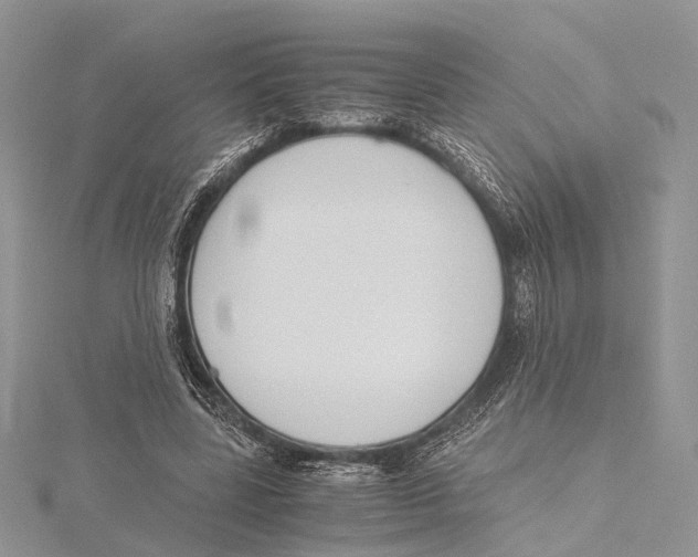 X0000115440539200912020947