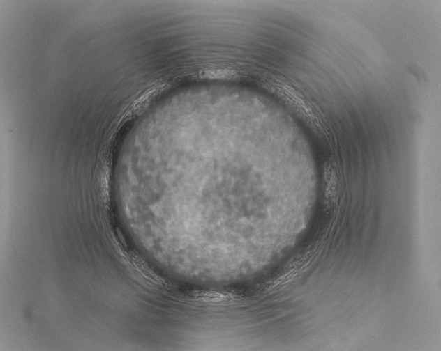 X0000115440542200912020947