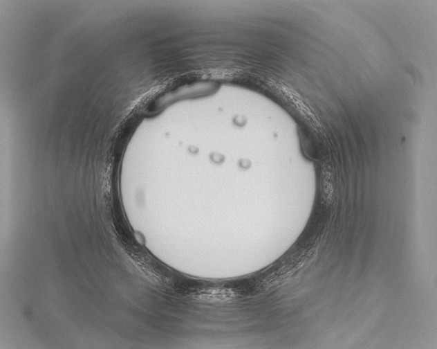 X0000115440543200912020947