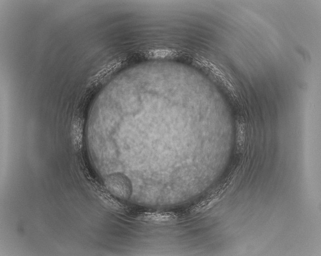 X0000115440545200912020947