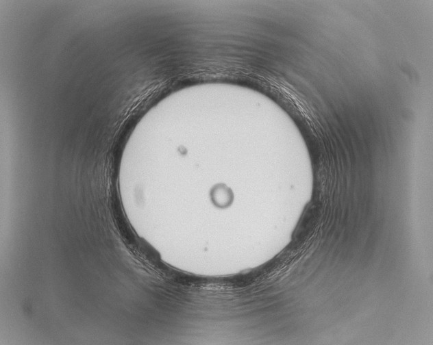 X0000115440546200912020947