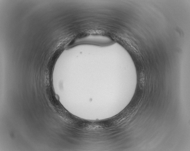 X0000115440547200912020947