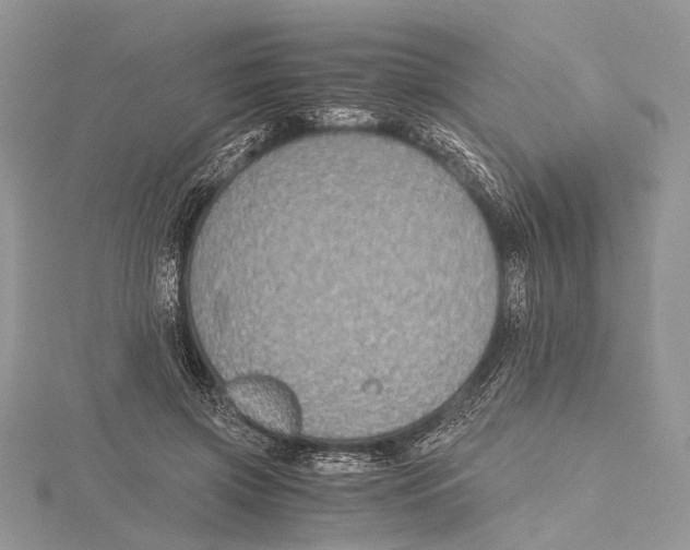 X0000115440549200912020947