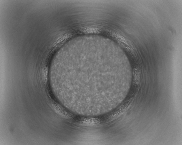 X0000115440550200912020947