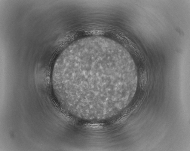 X0000115440553200912020947