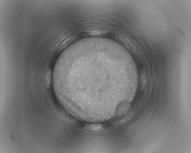 X0000115440554200912020947