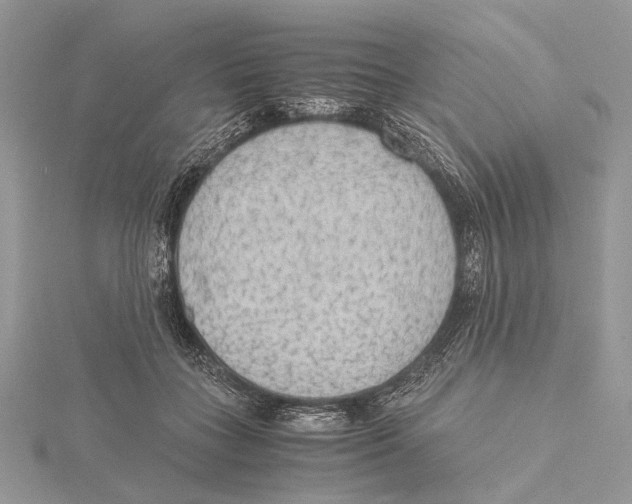 X0000115440555200912020947