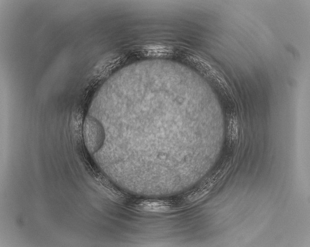 X0000115440557200912020947