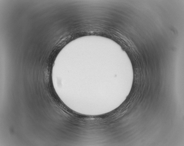 X0000115440558200912020947