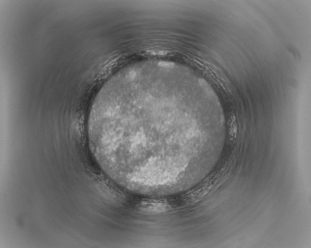 X0000115440559200912020947