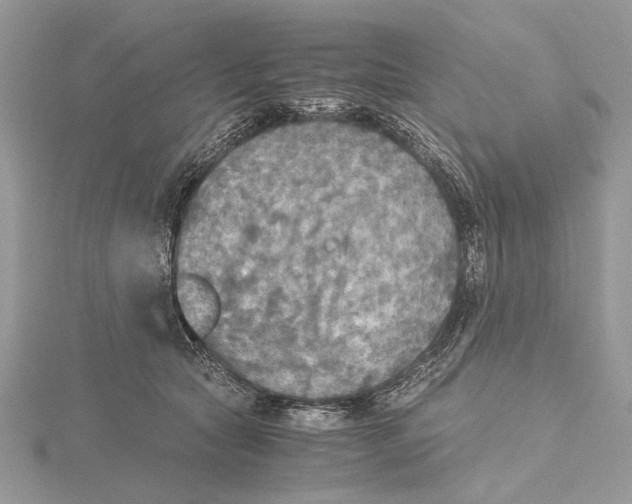 X0000115440561200912020947