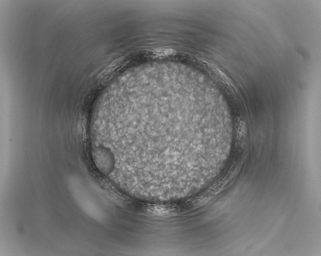 X0000115440565200912020947