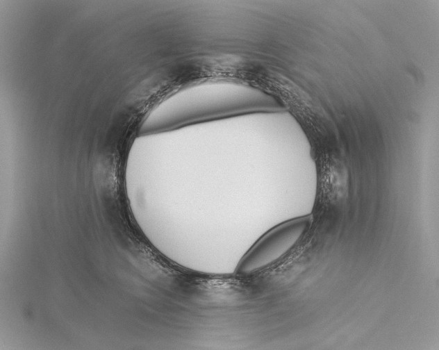 X0000115440566200912020947