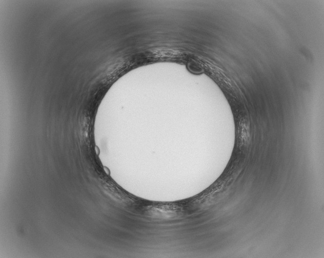 X0000115440567200912020947