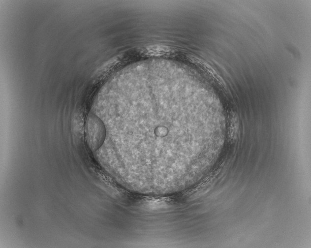 X0000115440569200912020947