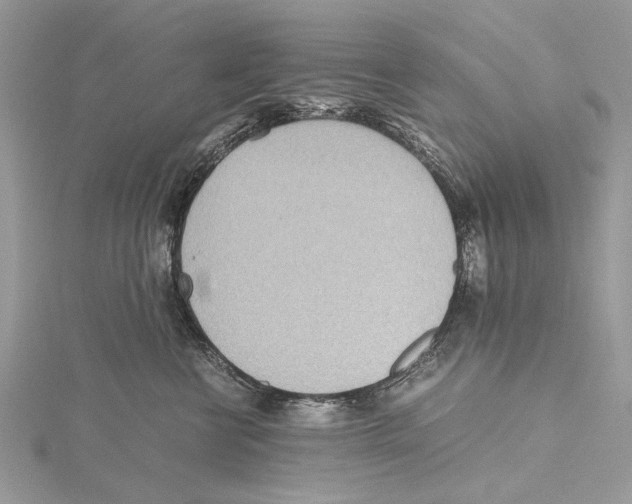 X0000115440570200912020947