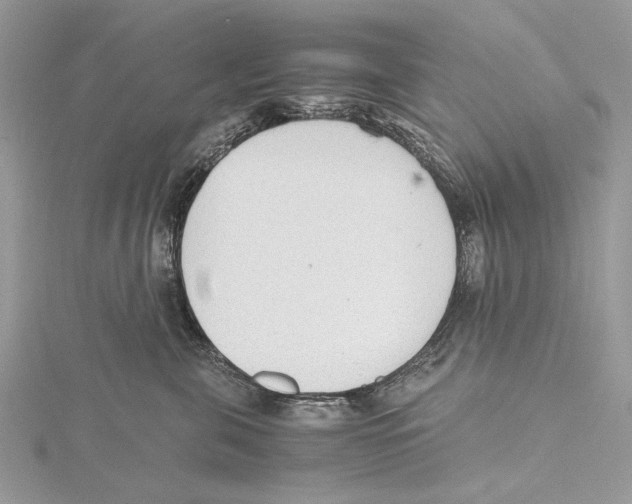 X0000115440571200912020947