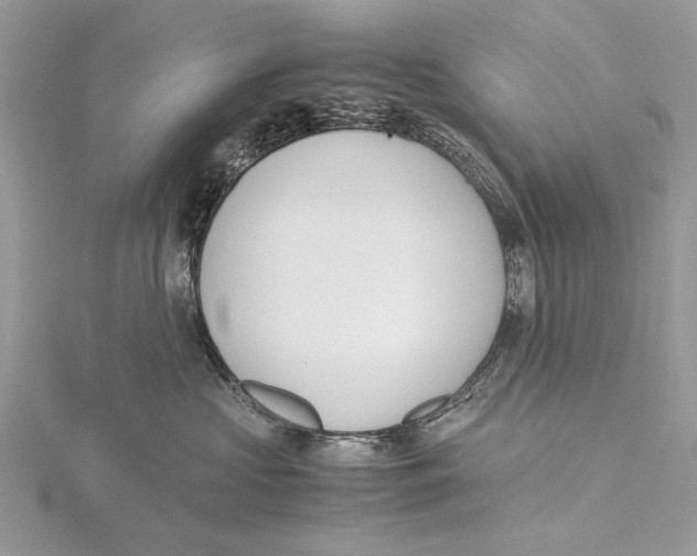 X0000115440573200912020947