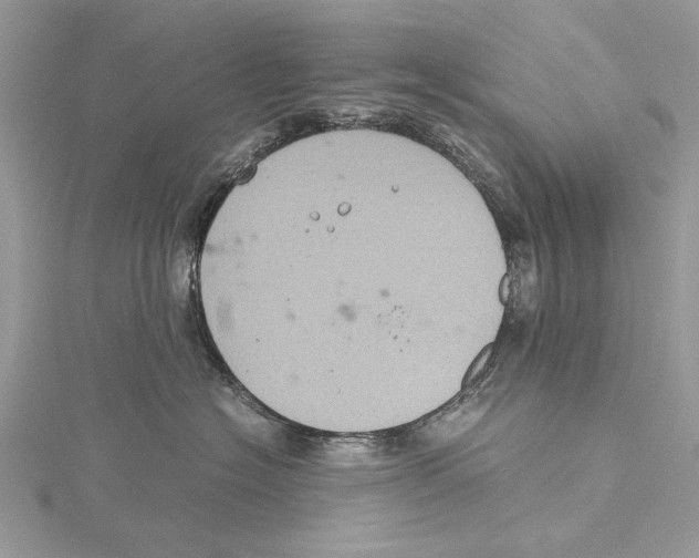 X0000115440574200912020947