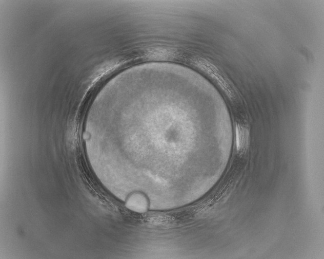 X0000115440579200912020947