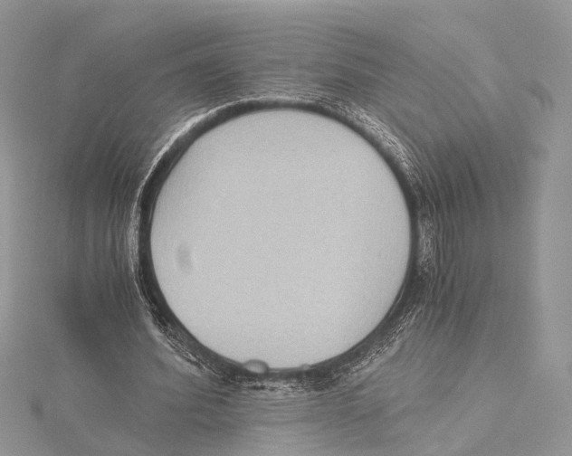 X0000115440580200912020947