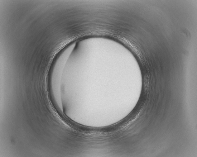 X0000115440581200912020947