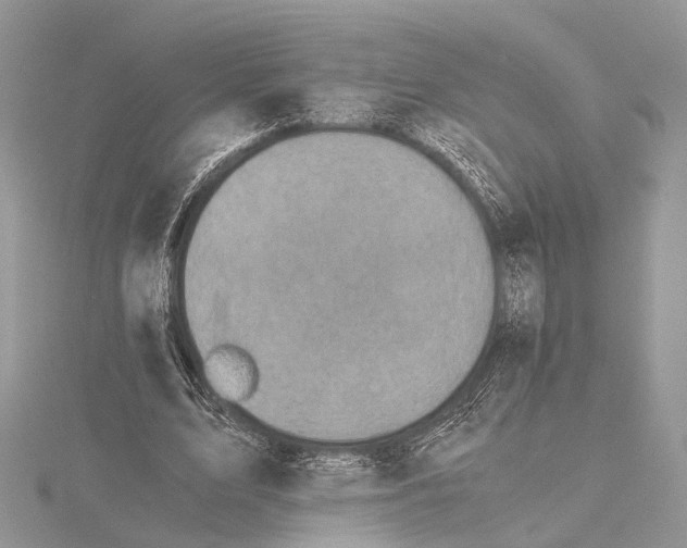 X0000115440583200912020947