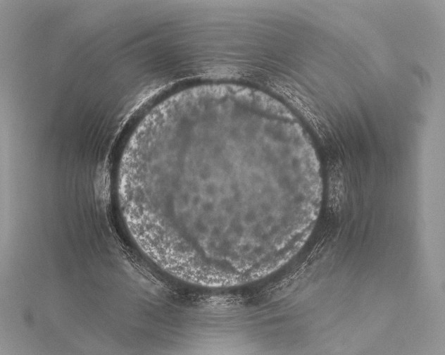 X0000115440584200912020947