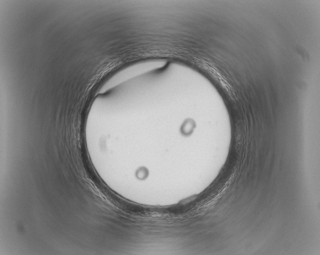 X0000115440585200912020947